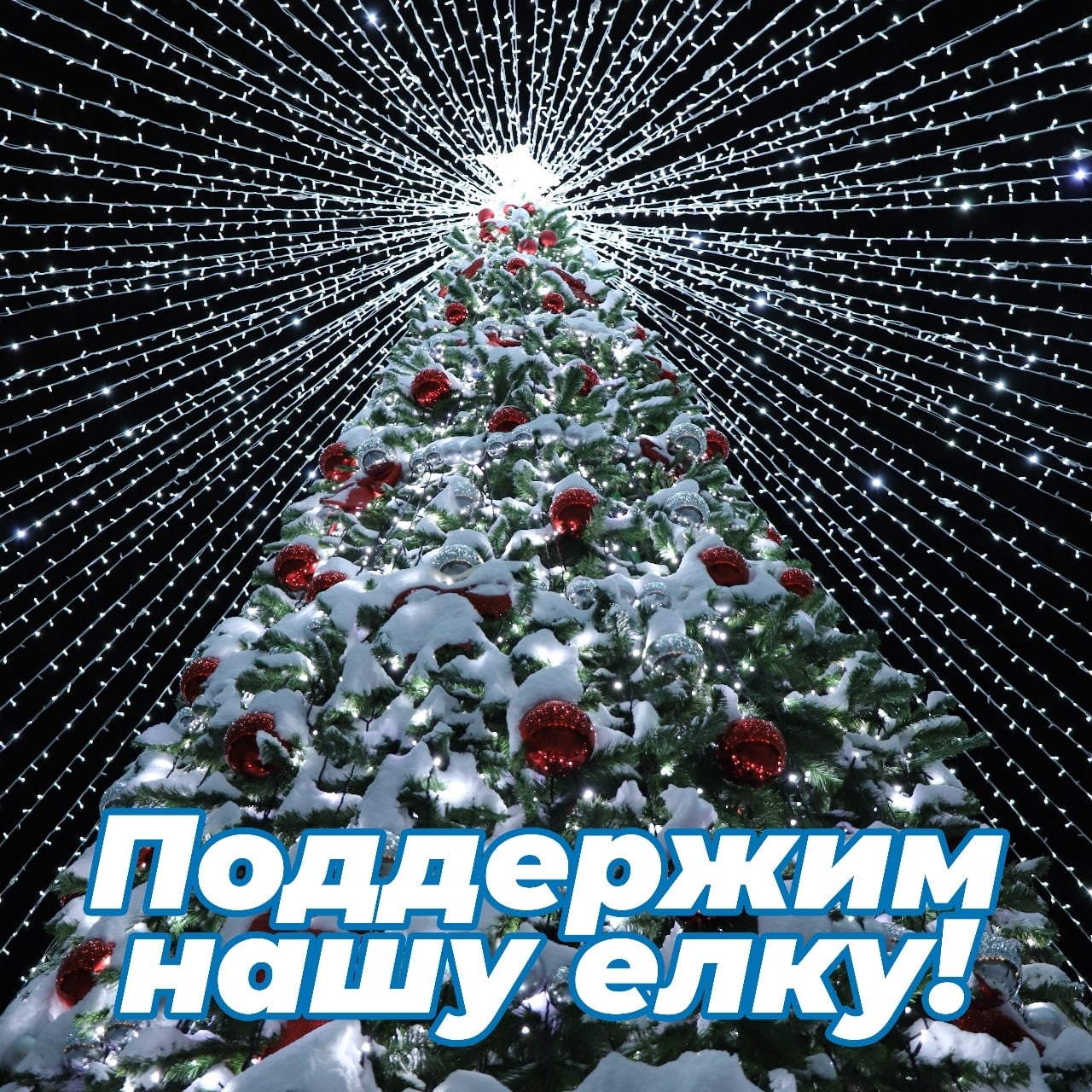 Друзья!