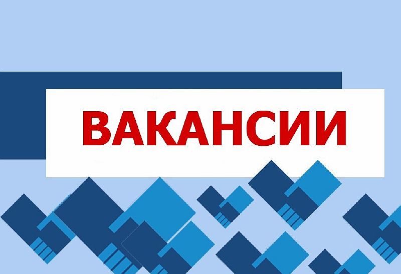 Открытые вакансии в МКУ Чистый город