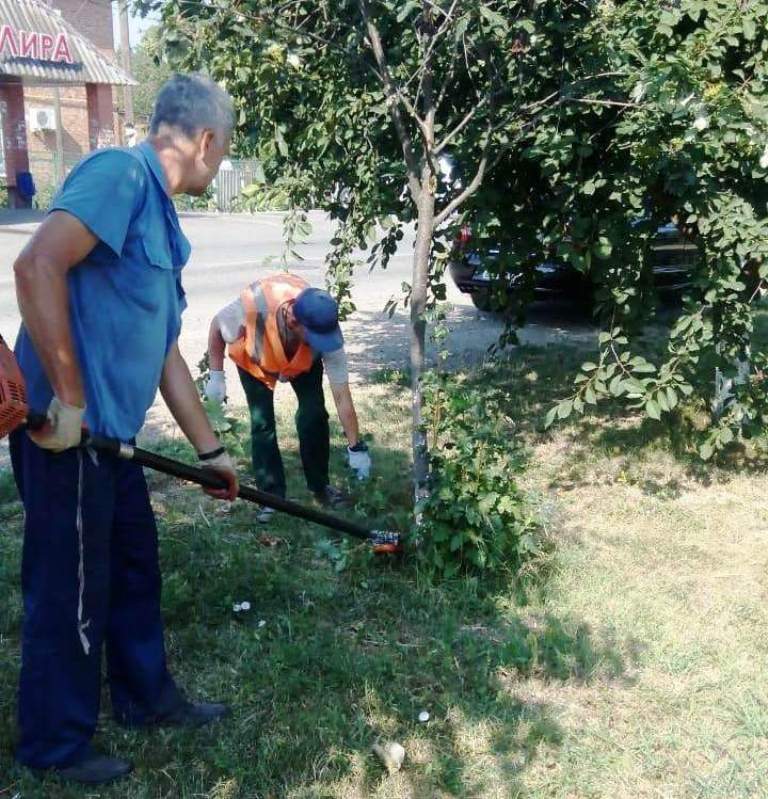 Обрезка деревьев