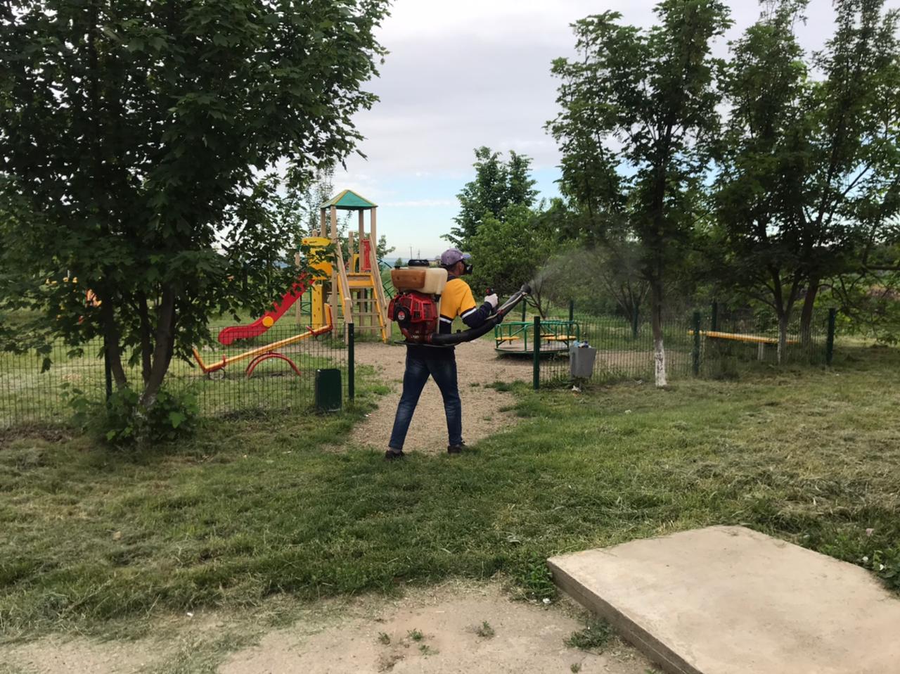 Обработка от комаров