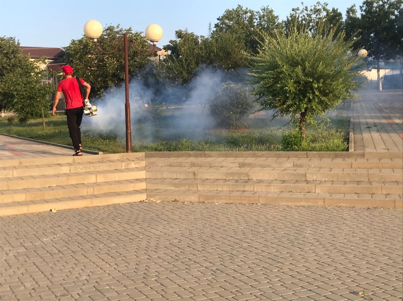 Дезинсекция от комаров