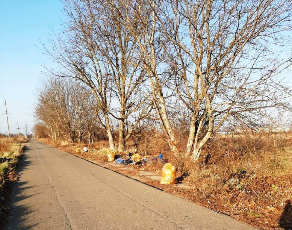 Ликвидированы две несанкционированные свалки