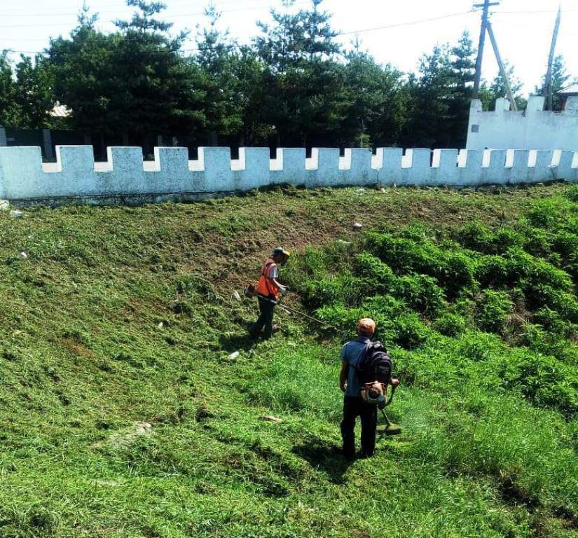 Уничтожаем сорную и карантинную растительность