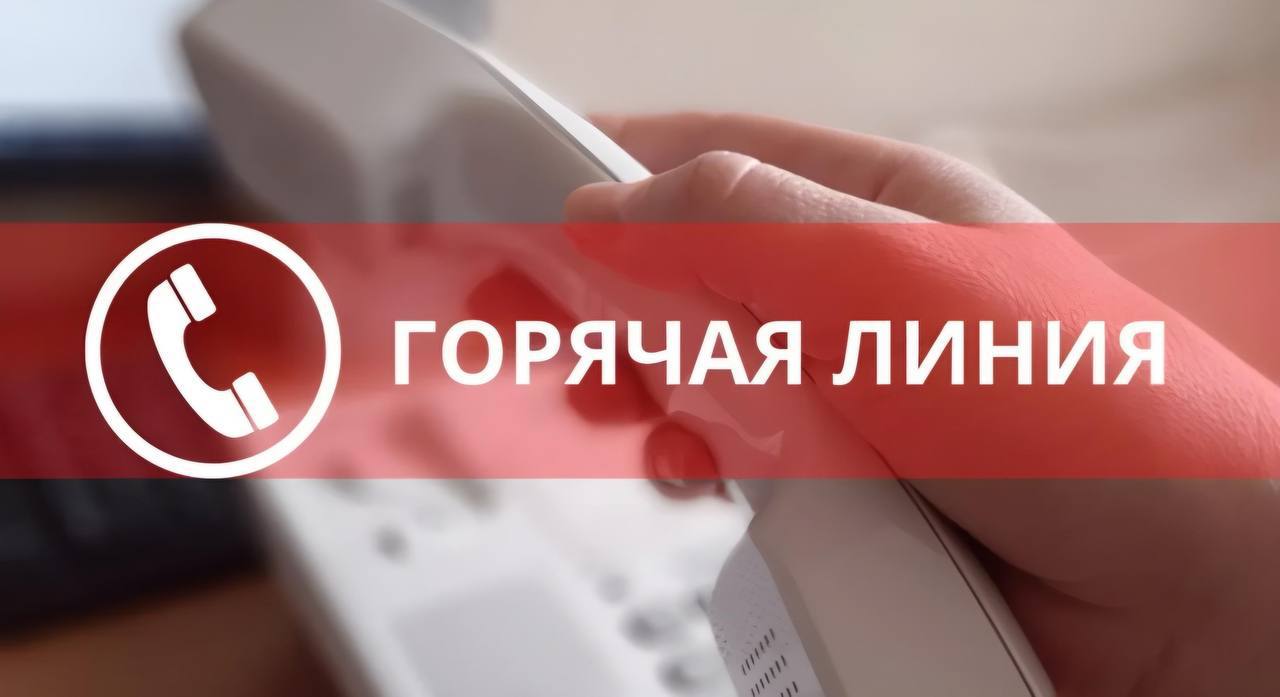 Проведение тематической «горячей линии»