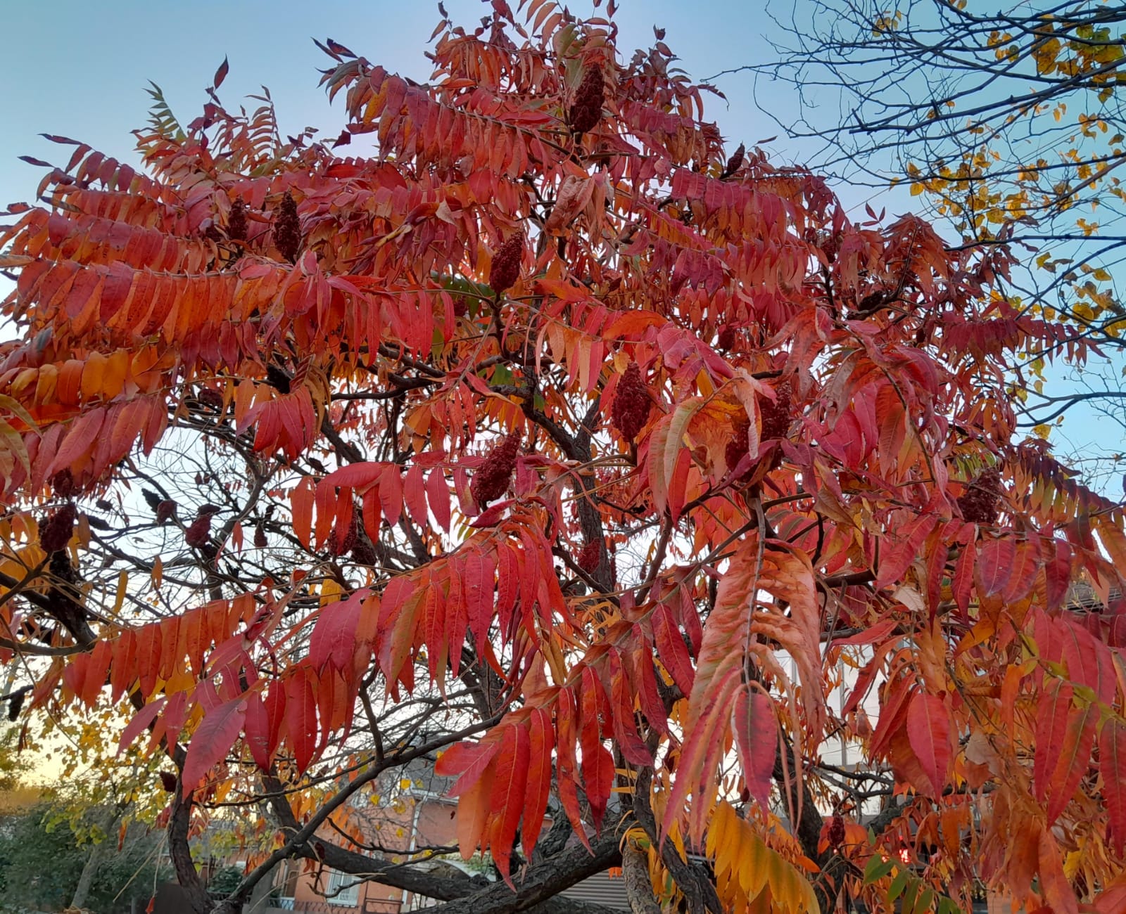 Осень в Усть-Лабинске