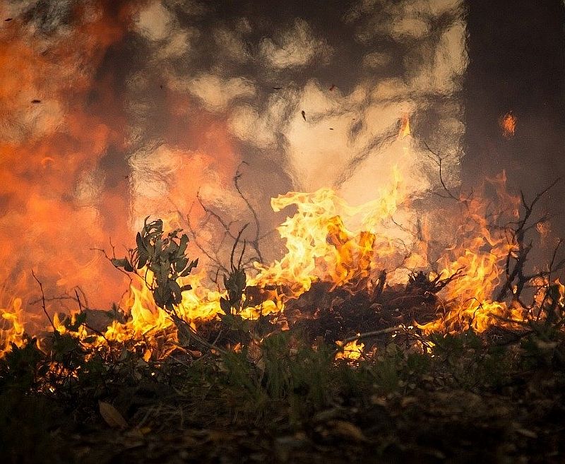 На территории Усть-Лабинска продолжаются рейды по предупреждению возникновения пожаров в летний период