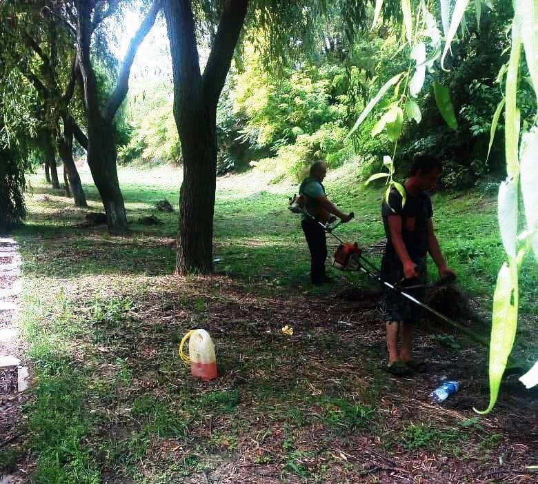 Уничтожаем сорную и карантинную растительность