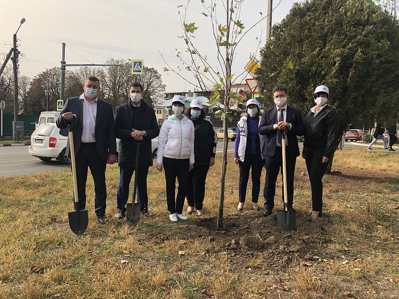 28 новых деревьев украсили город