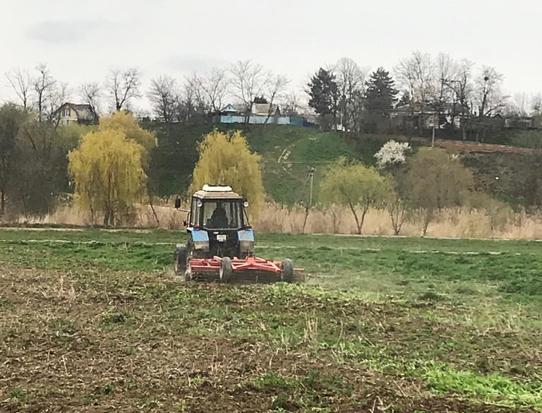 О работах по рекультивации земельного участка в районе озера Копытко