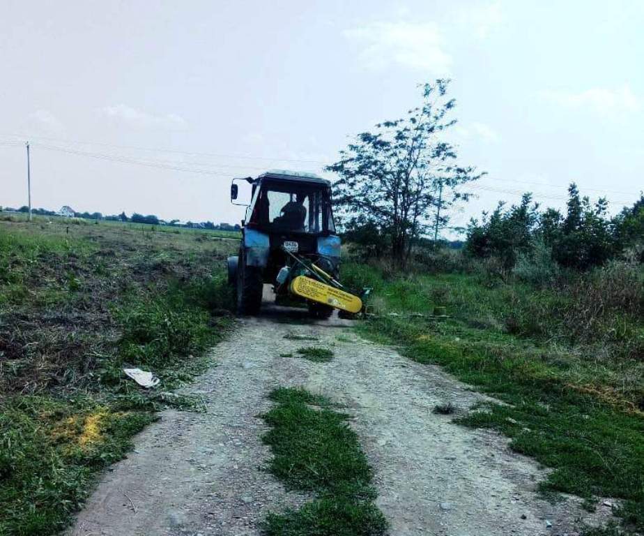 Уничтожаем сорную и карантинную растительность