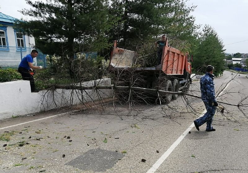 На ул. Демьяна Бедного спилили деревья