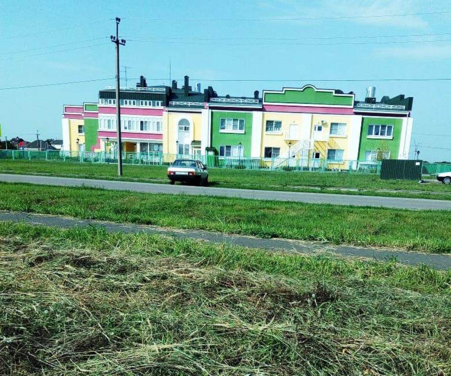 Уничтожаем карантинную и сорную растительность, наводим порядок