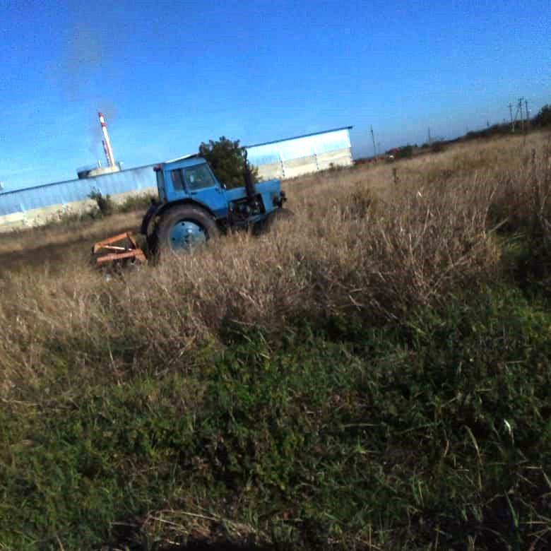 Наводим санитарный порядок, уничтожаем сорную растительность