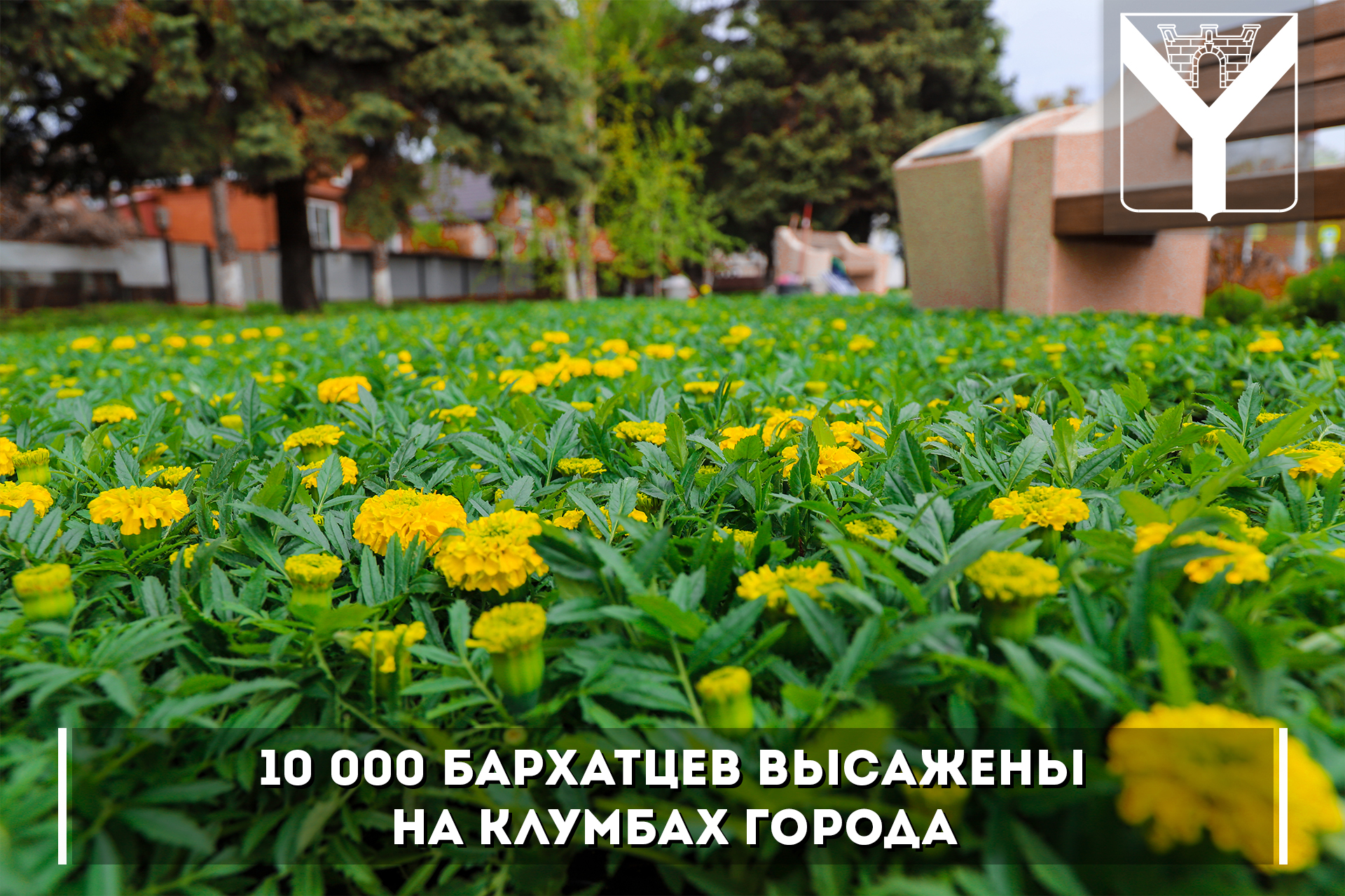 Продолжаем работы по озеленению Усть-Лабинска