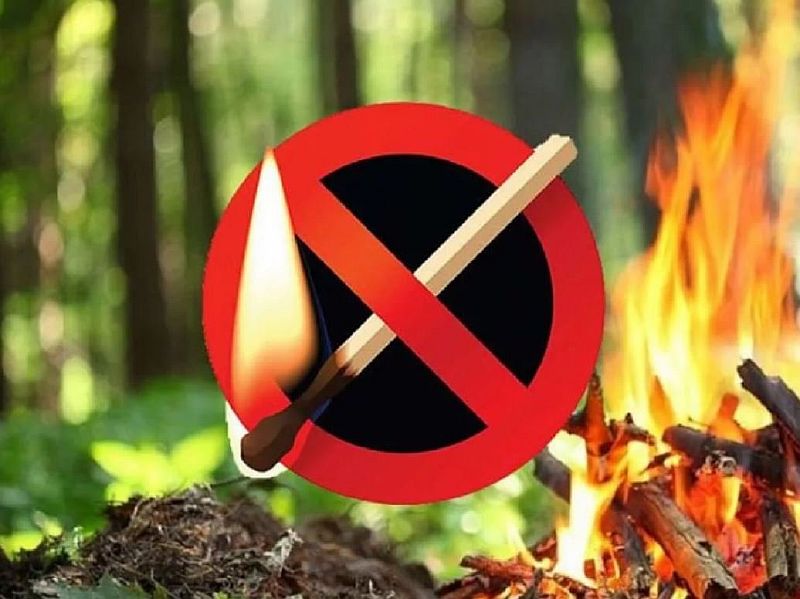 Особый противопожарный режим