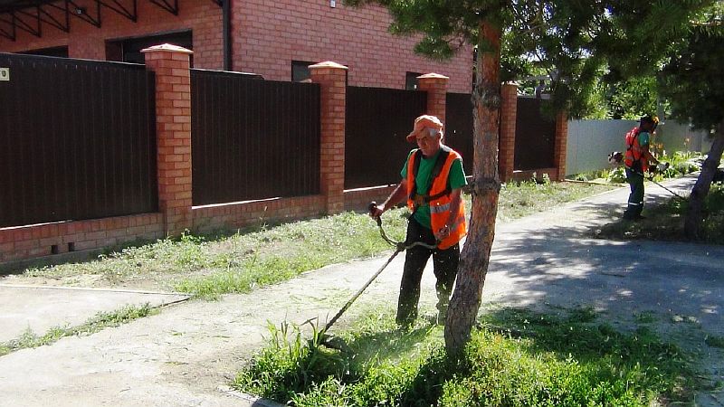 Косим сорную растительность, собираем бросовый мусор