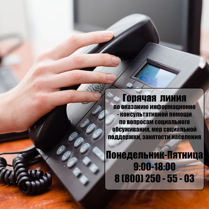 Горячая линия по оказанию мер социальной поддержки