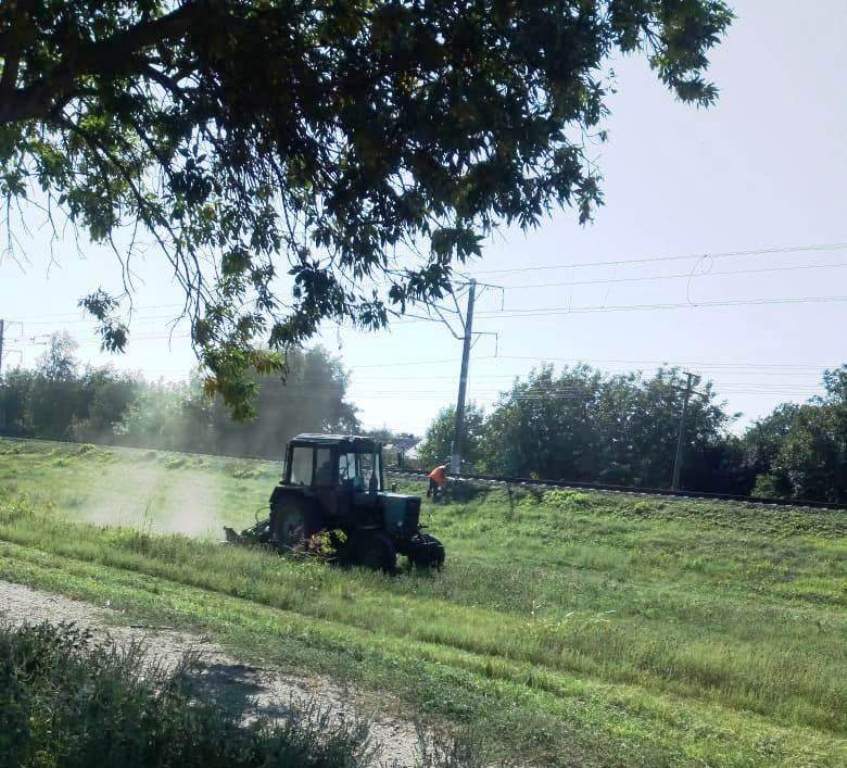 Наводим санитарный порядок, уничтожаем сорную растительность