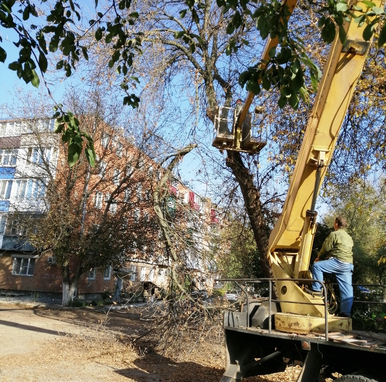 Спил аварийных деревьев