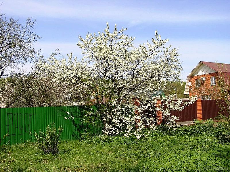 Просим временно заявления не подавать