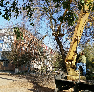 Спил аварийных деревьев
