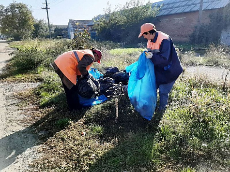 Ликвидирована несанкционированная свалка