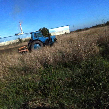 Наводим санитарный порядок, уничтожаем сорную растительность