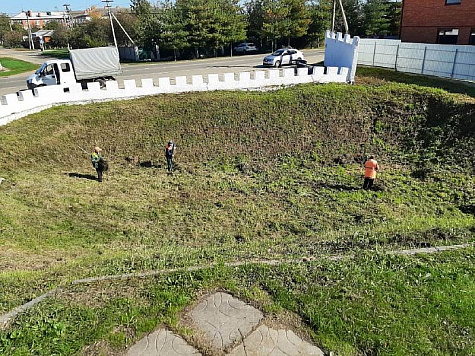 Косим сорную растительность, наводим санитарный порядок