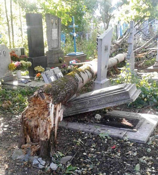 Устраняют последствия стихии