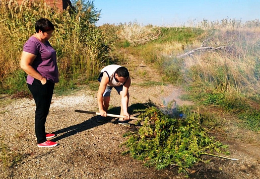 Рейд по выявлению дикорастущей конопли