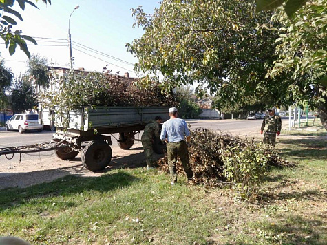 Наводим порядок на улицах