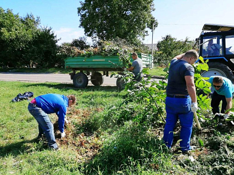 Сегодня в городе прошёл субботник