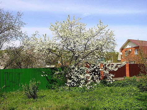 Просим временно заявления не подавать