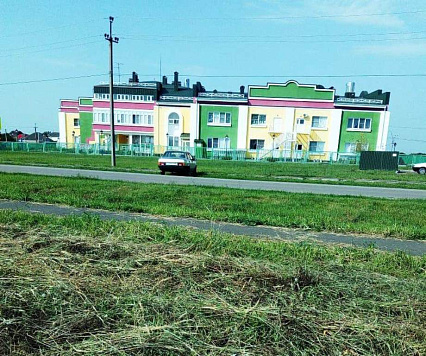 Уничтожаем карантинную и сорную растительность, наводим порядок