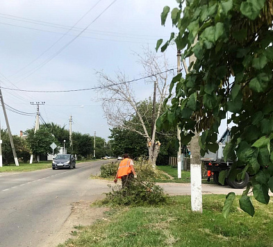 Наводим санитарный порядок