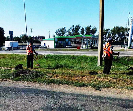 Наводим порядок, уничтожаем карантинную и сорную растительность