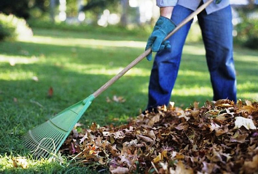 Наведи порядок на прилегающей территории!