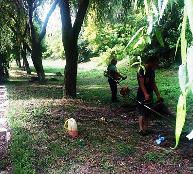 Уничтожаем сорную и карантинную растительность