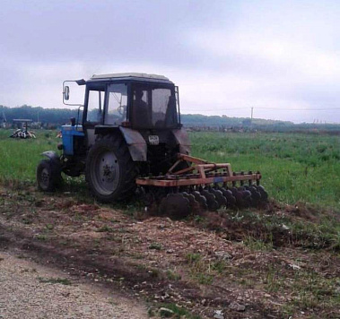 Уничтожаем сорную и карантинную растительность