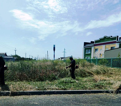 Покосы сорной растительности