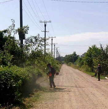 Косим сорную растительность