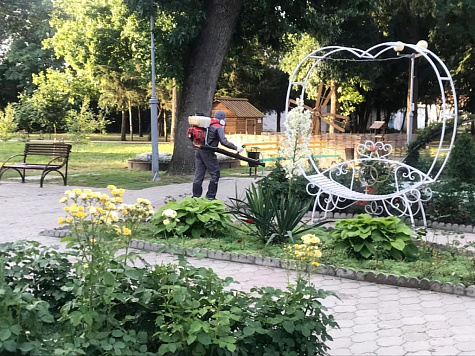 Дезинсекционные работы