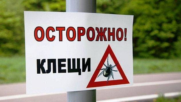Это необходимо знать: осторожно, клещи!