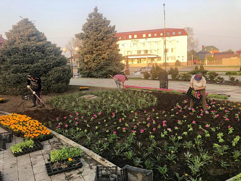 Сажаем цветы, наводим порядок