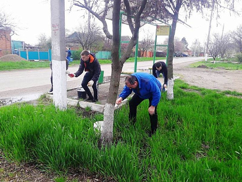 В Усть-Лабинске наводили порядок в рамках Всекубанского субботника