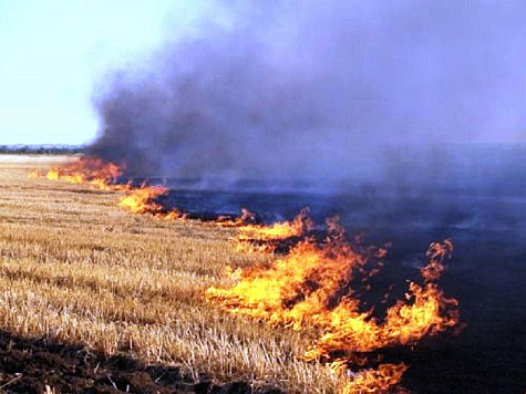 Порядок использования открытого огня и разведения костров на землях сельскохозяйственного назначения и землях запаса