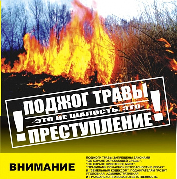 Жгли траву – спалили дом. Памятка населению по палам травы