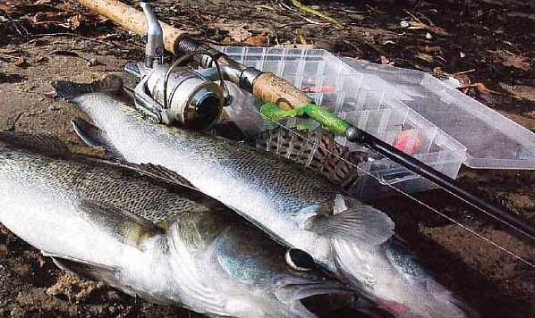 О противодействии незаконному обороту водных биоресурсов