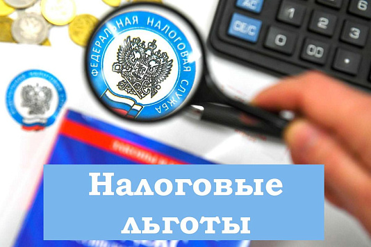 Наличие льгот по имущественным налогам.