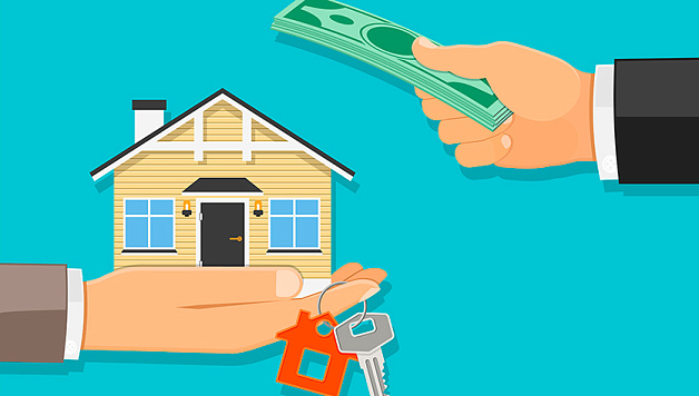 Статус плательщика НПД: простой и законный способ сдачи жилья в аренду